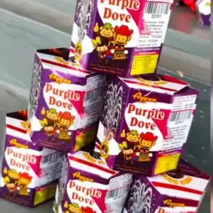 Purple Dove