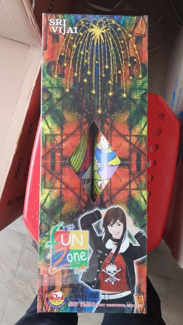 Fun Zone Special (2 Pcs)